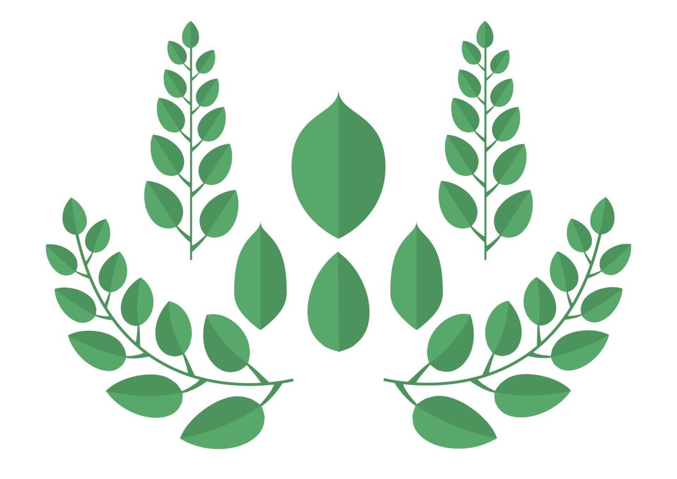 Green leaves design vector