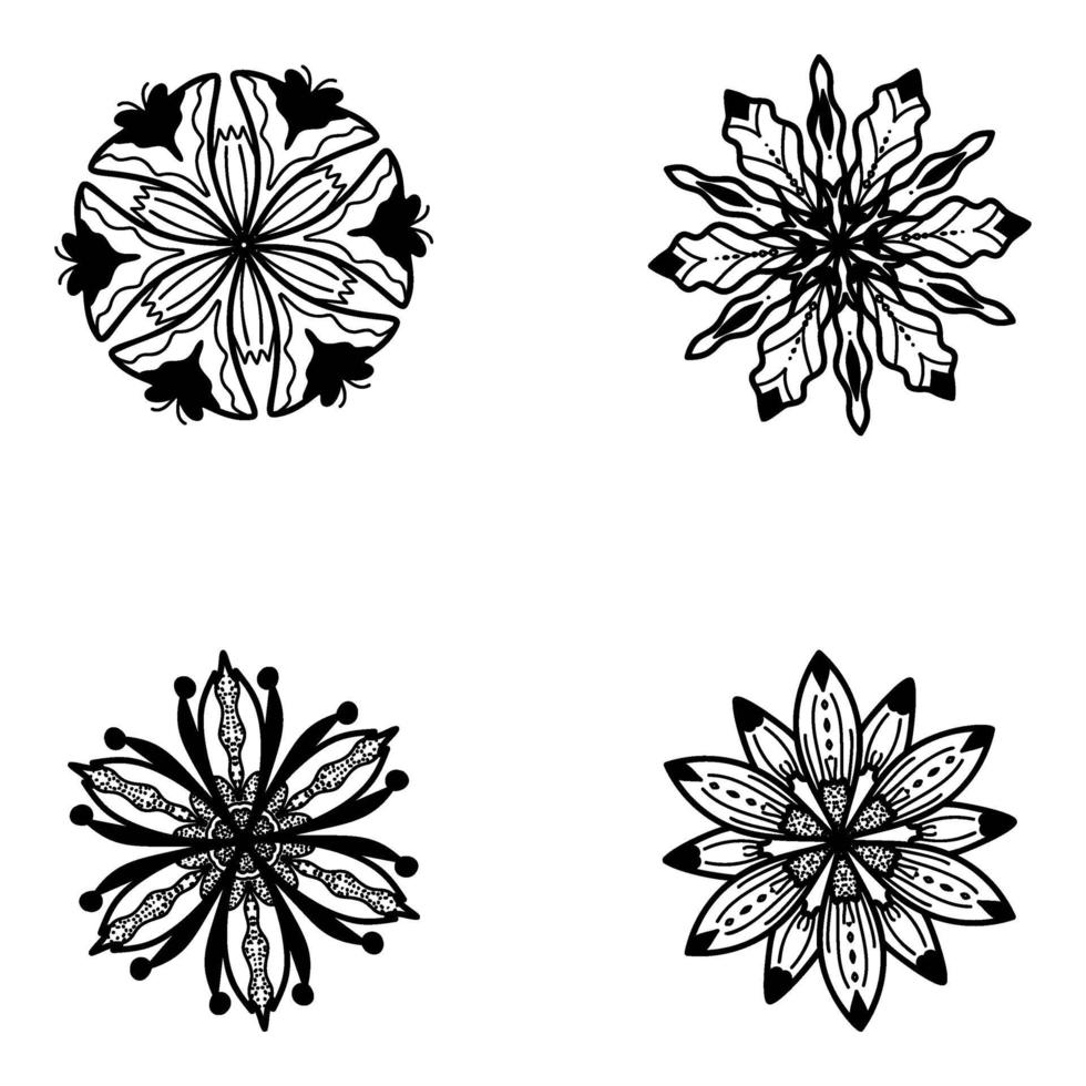 arte lineal floral vector