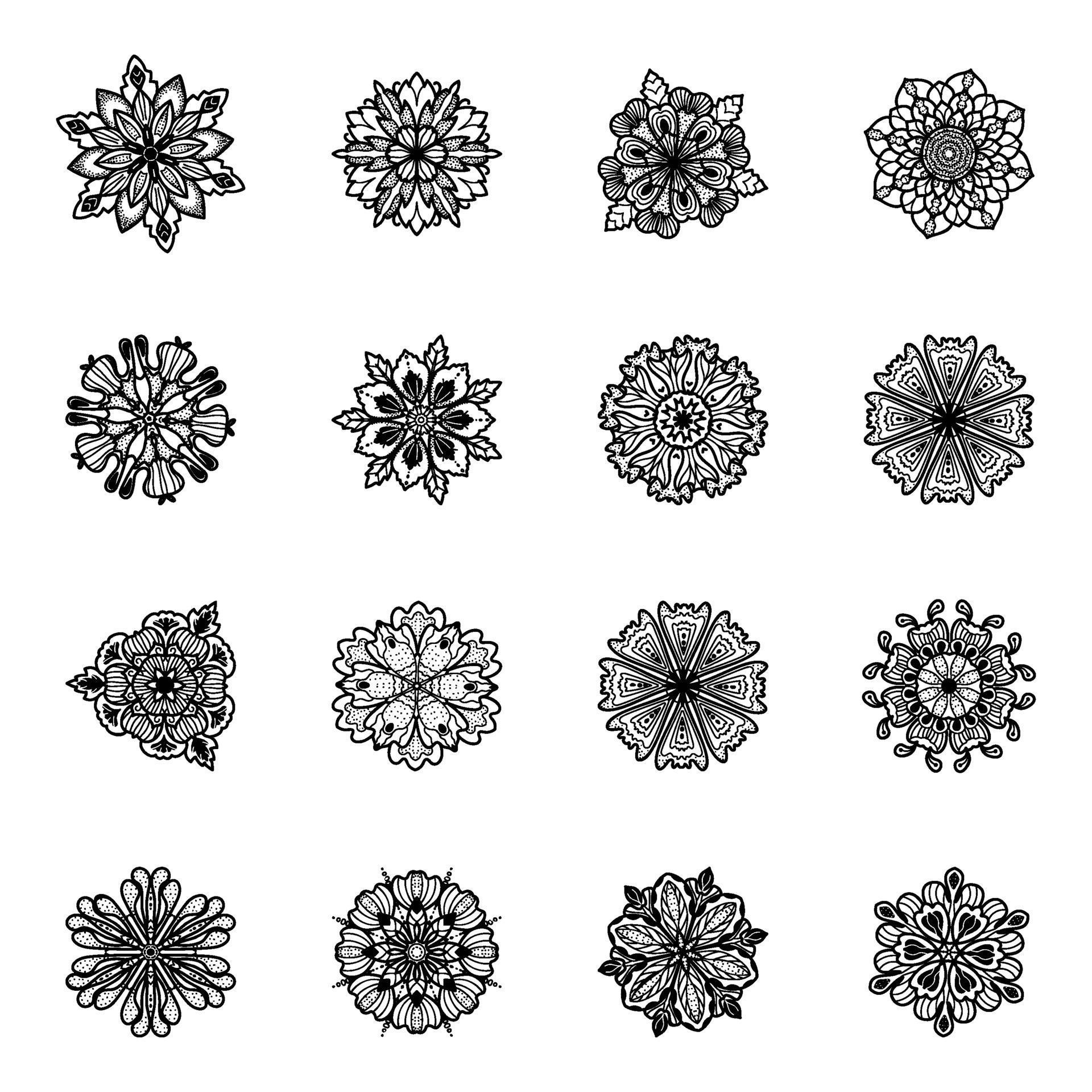 Flower Designs Linear 2369485 Vector Art at Vecteezy