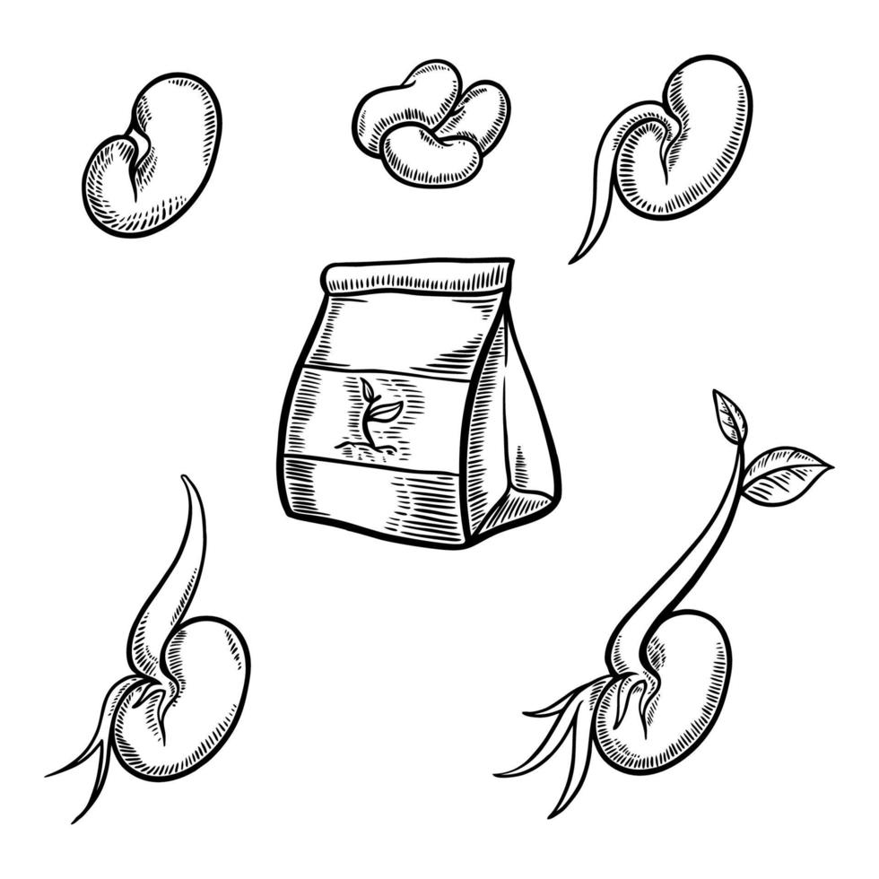 farm seed set hand drawn illustration vector