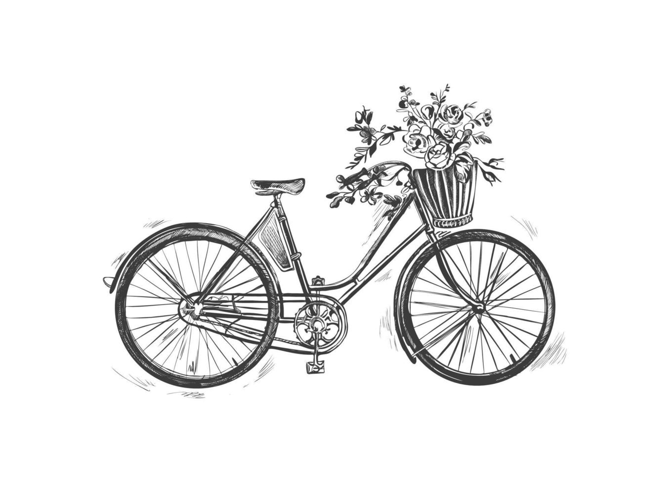 Vector hand drawn illustration of city bicycle in ink hand drawn style. Bike with step-through frame, pannier rack and front wicker basket.