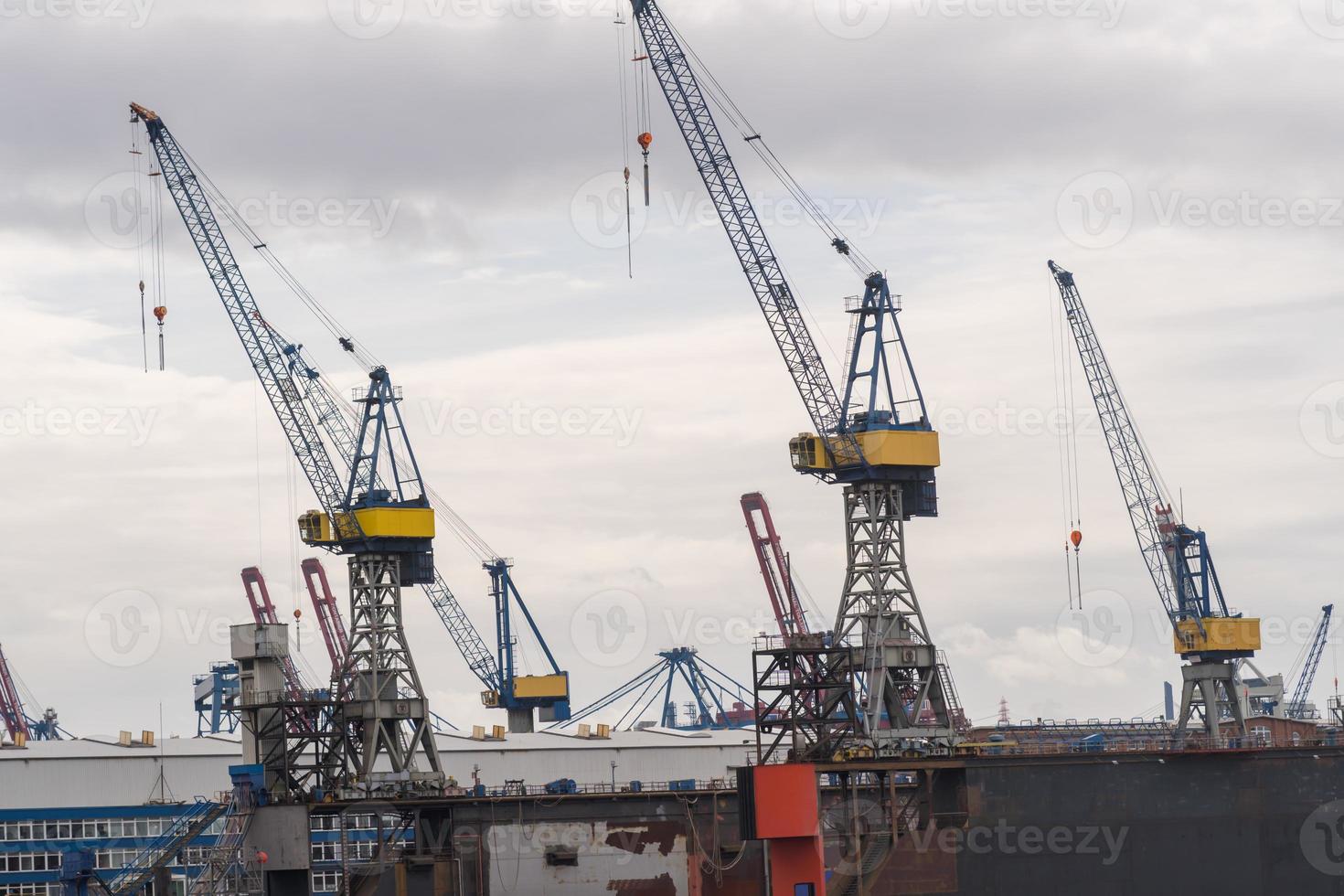 Mobile harbour container cranes at the Port of Hamburg photo