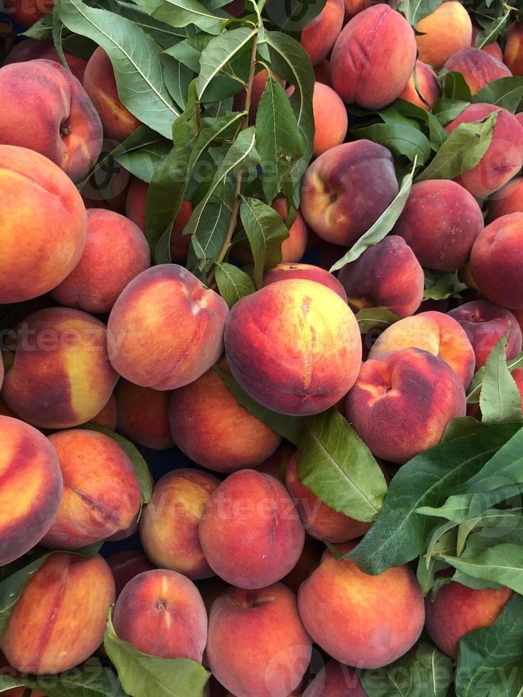 Ripe and tasty peaches photo