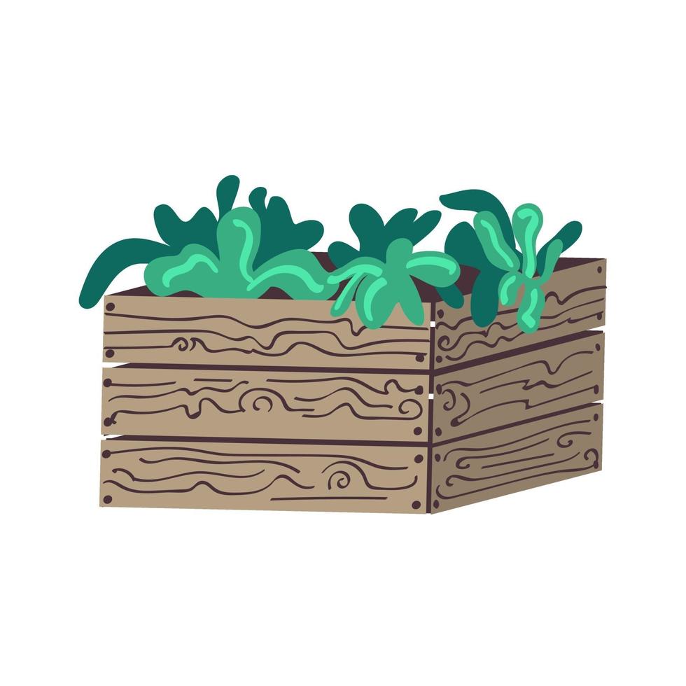 Wooden garden bed box with plants vector