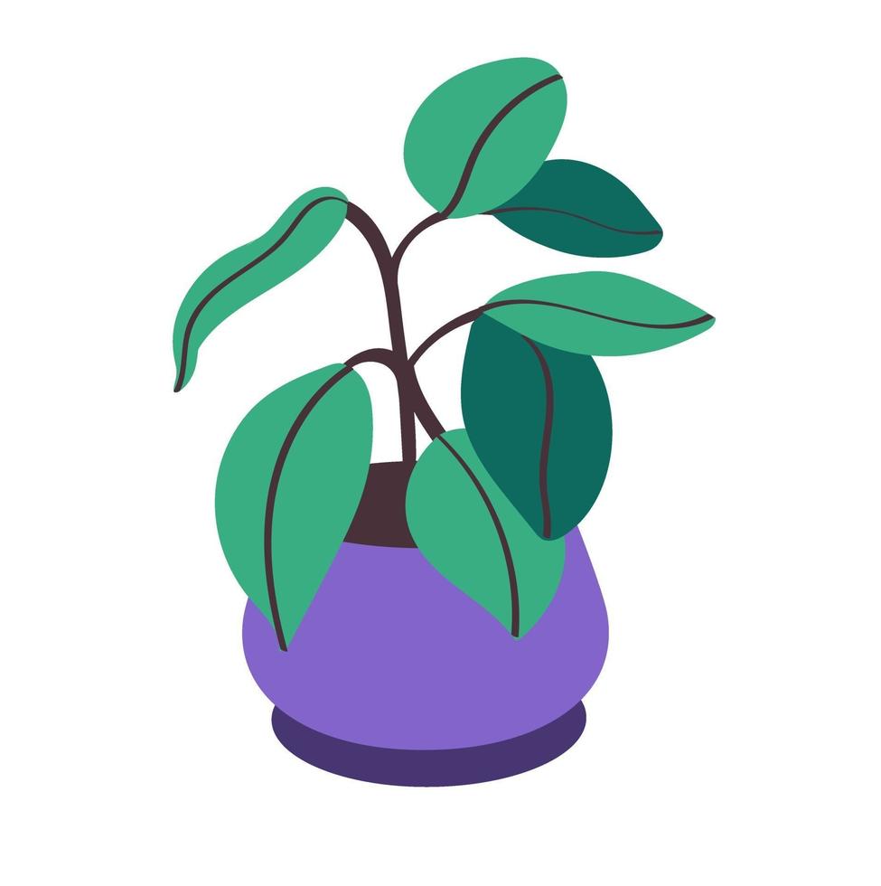 Ficus growing in a pot. Decorative indoor plant with green leaves in a pot. Beautiful potted plant isolated on a white background. Home garden. Flat vector illustration. Vector illustration