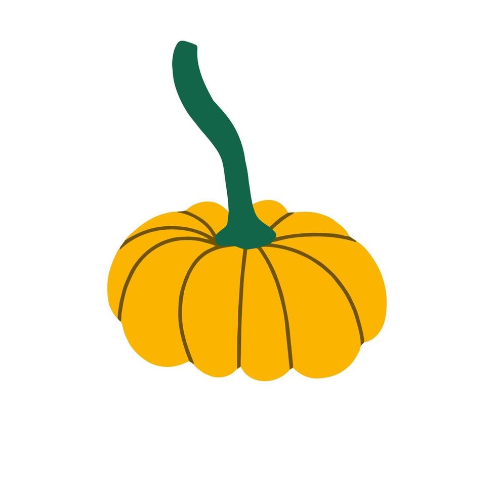 Pumpkin vector stock flat illustration. Pumpkin for Halloween and thanksgiving day design. Organic autumn vegetables