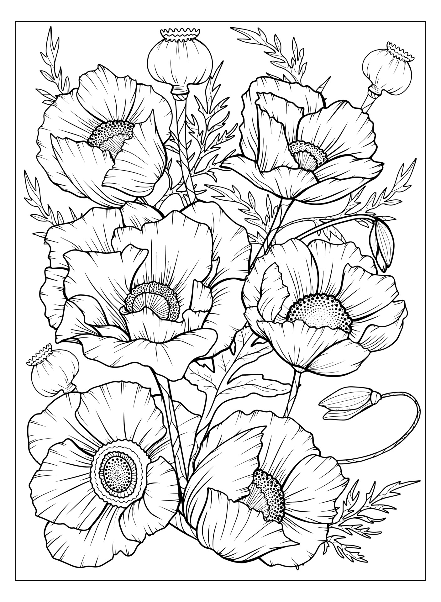 Coloring page with poppies and leaves. Vector page for coloring. Flower ...