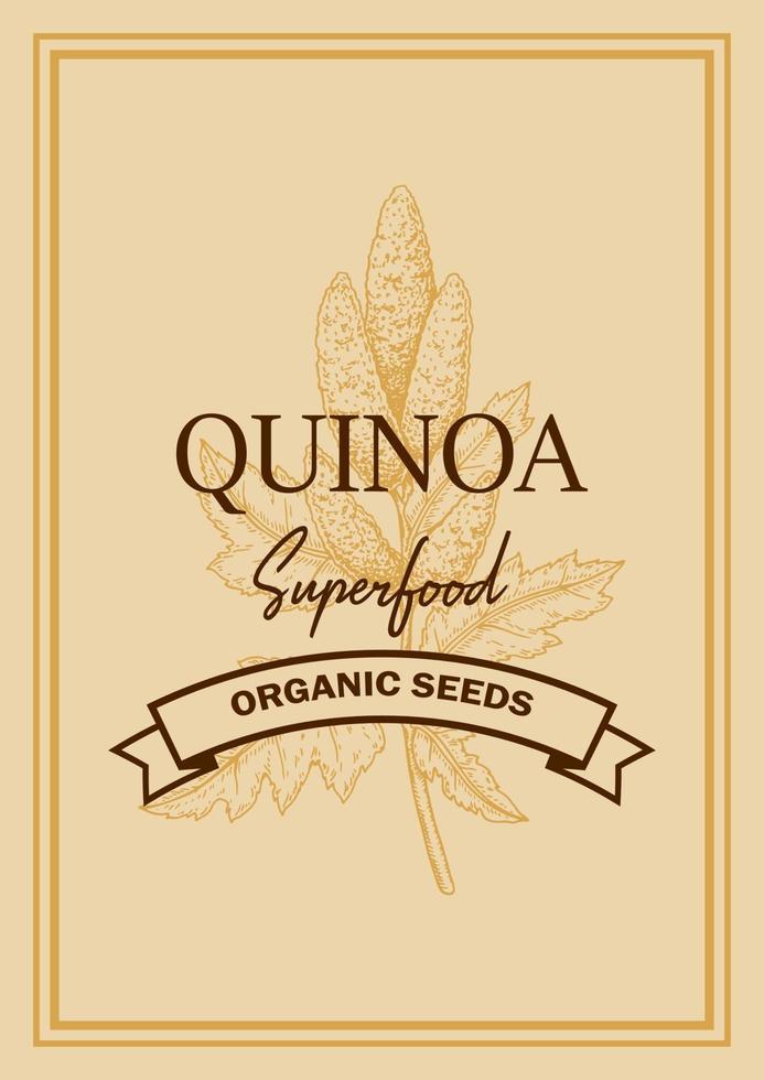 Quinoa packaging design with hand drawn element. Vector illustration in sketch style