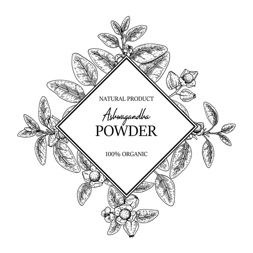 Hand drawn Ashwagandha design with branches and berries isolated on white background. Vector illustration in sketch style.