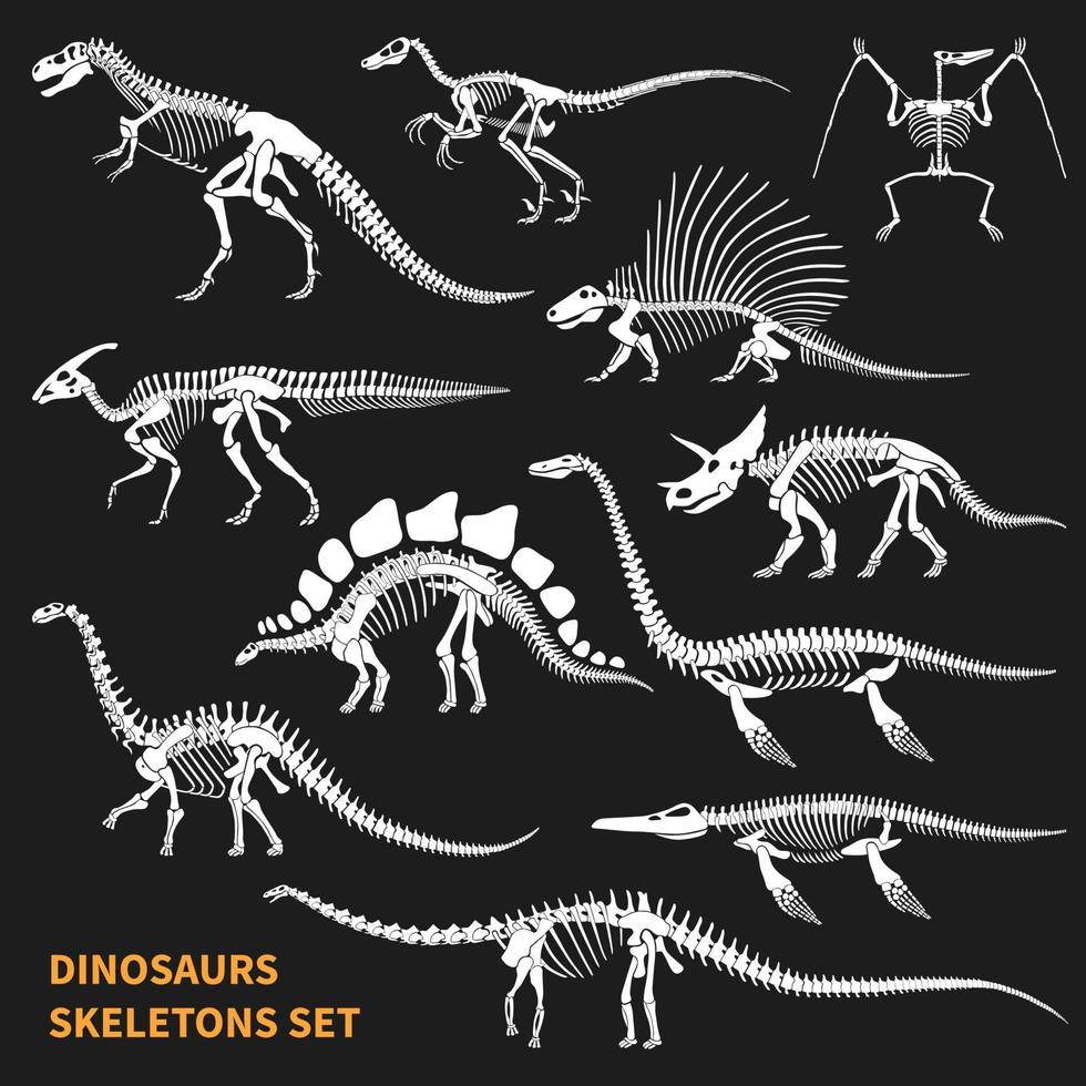 dinosaurios, esqueletos, pizarra, iconos, conjunto, vector, ilustración vector