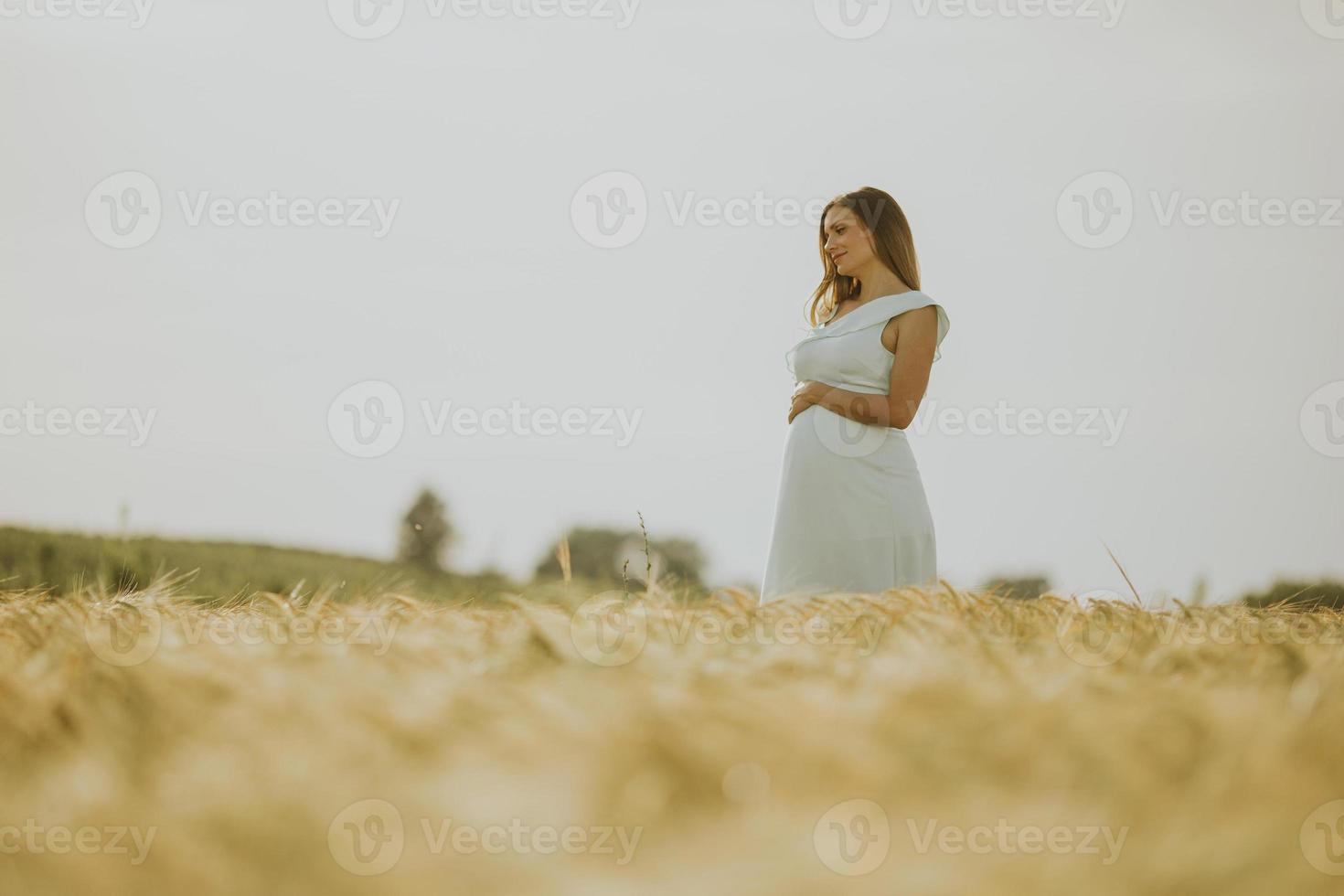 Pregnant woman in white dress in a wheat field photo