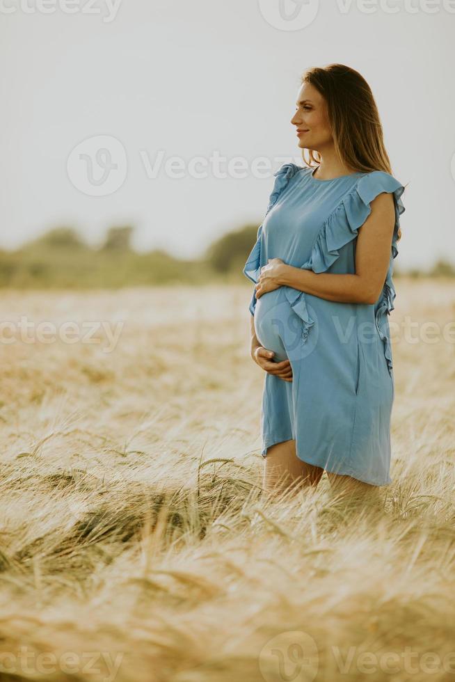 Vertical view of a pregnant woman in blue dress 2371558 Stock Photo at ...