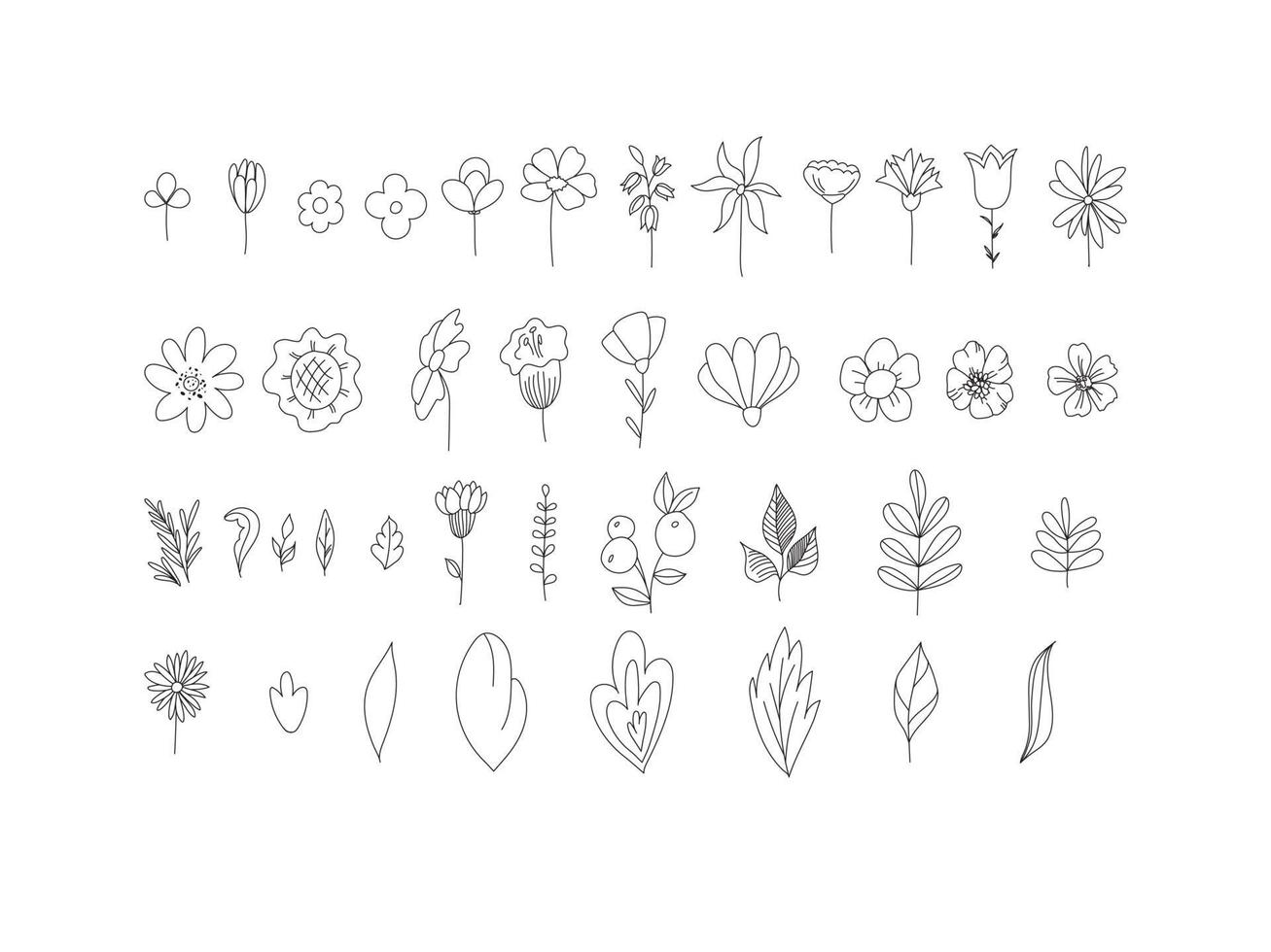 Floral set of black and white flowers and leaves isolated on white background. Outline hand drawn style. Monochrome floral collection vector