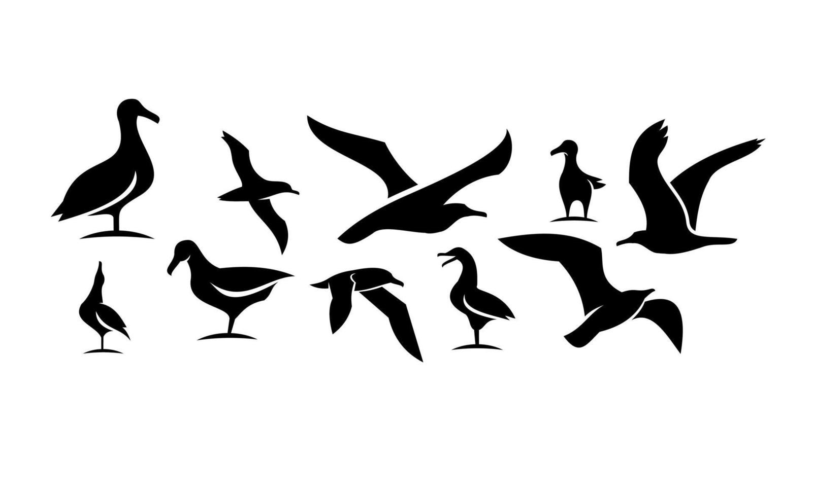 Establecer colección de ilustración de diseño de icono de vector negro de gaviota
