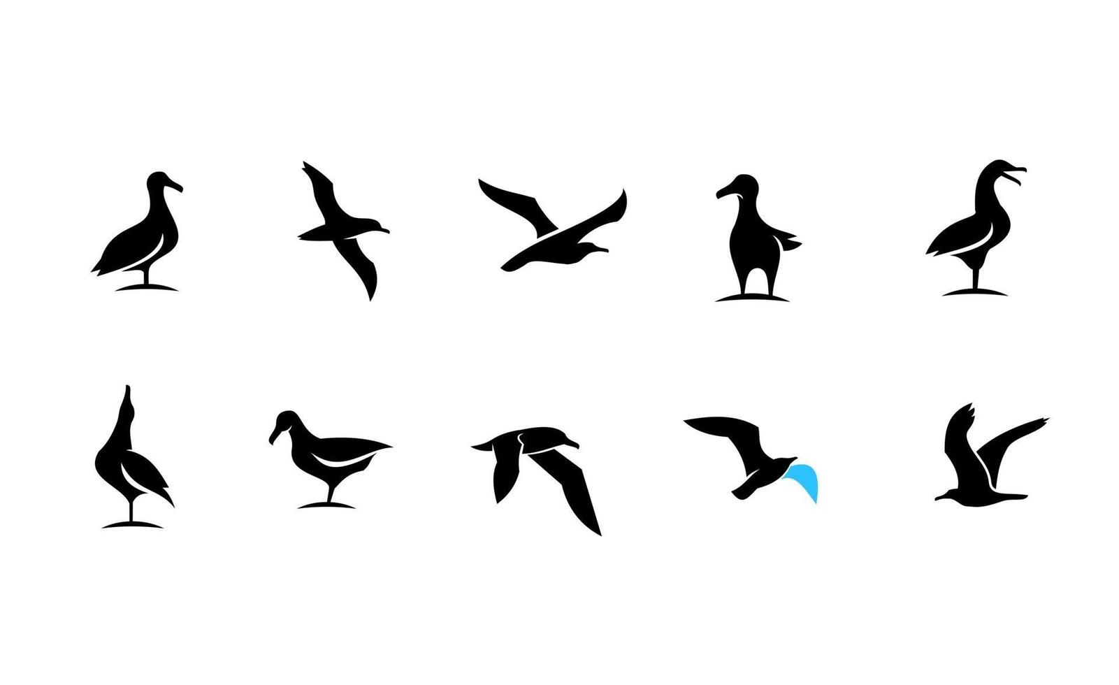 Set collection of seagull black vector icon design illustration