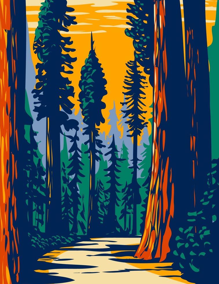 simpson-reed grove of coast redwoods ubicado en jedediah smith state park parte de los parques nacionales y estatales de redwood en california wpa poster art vector