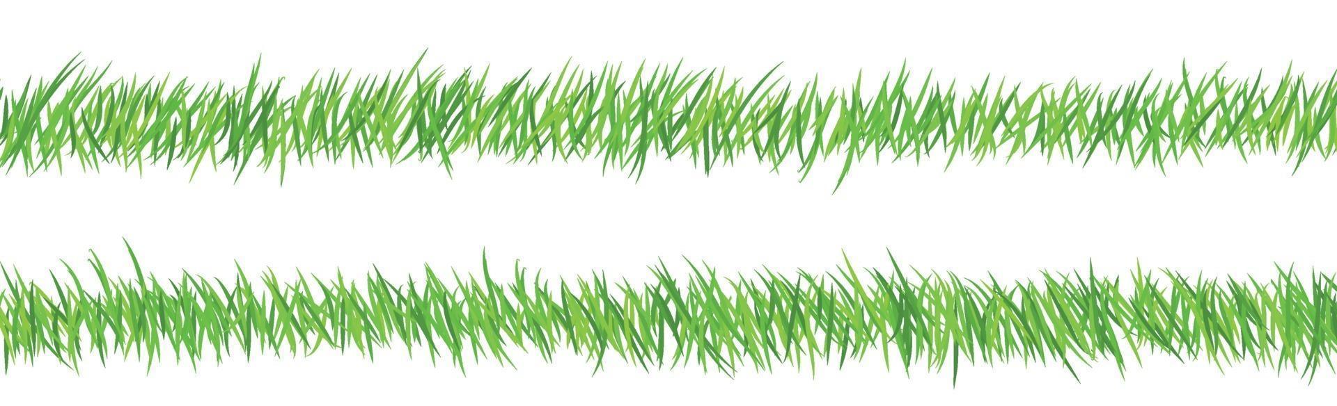 Green juicy grass on a white background vector