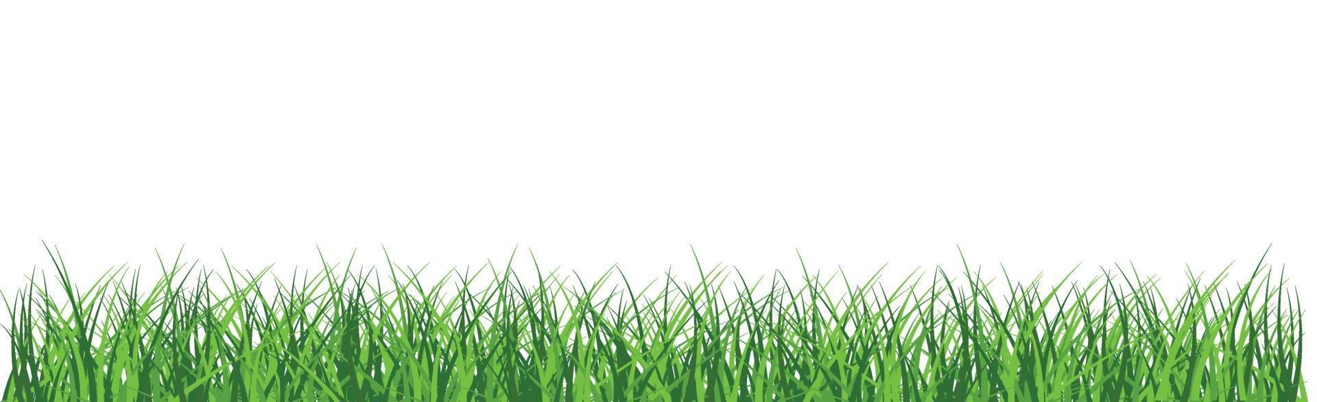 Green juicy grass on a white background vector