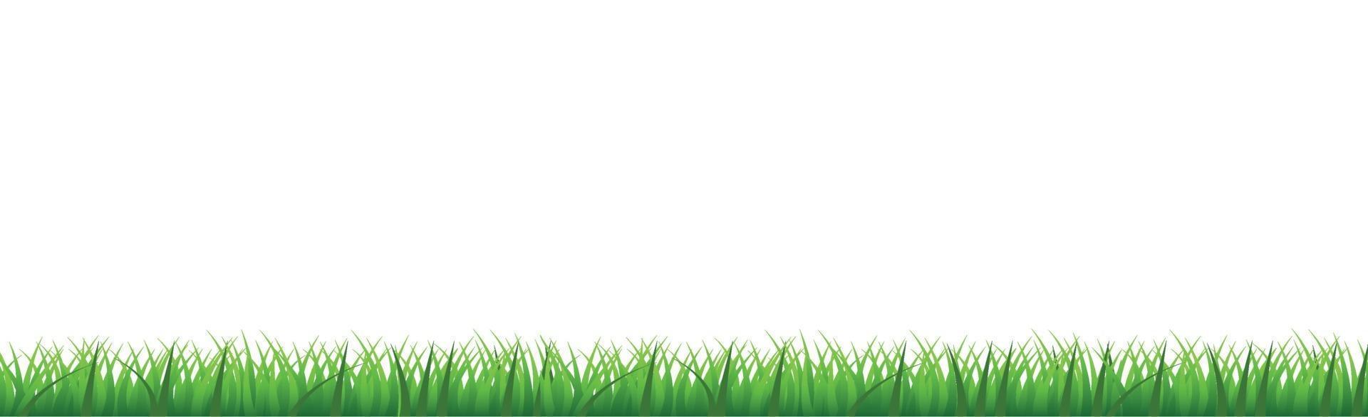 Green juicy grass on a white background vector