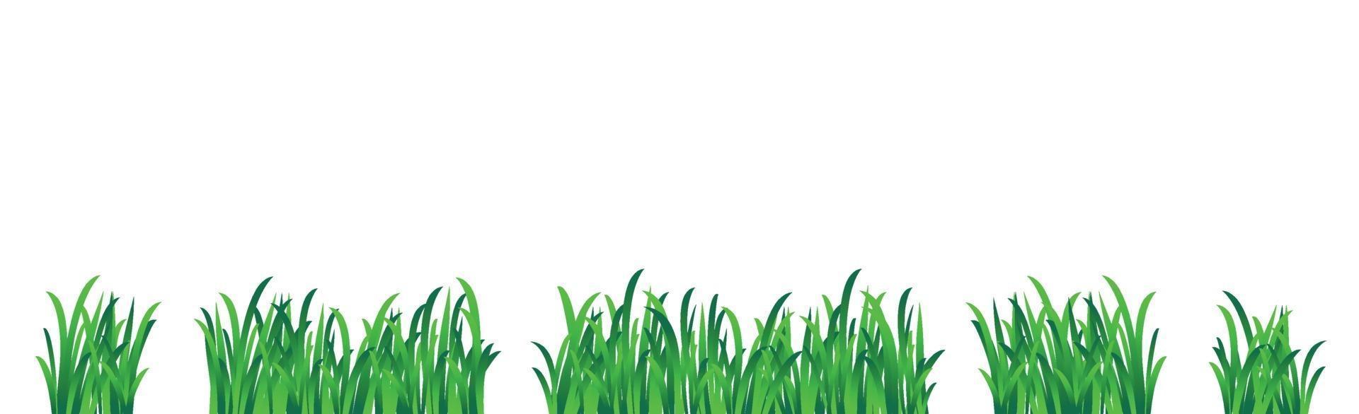 Green juicy grass on a white background vector