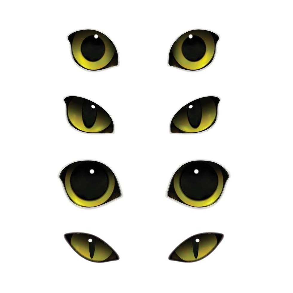 Cats Eyes Realistic Set Vector Illustration