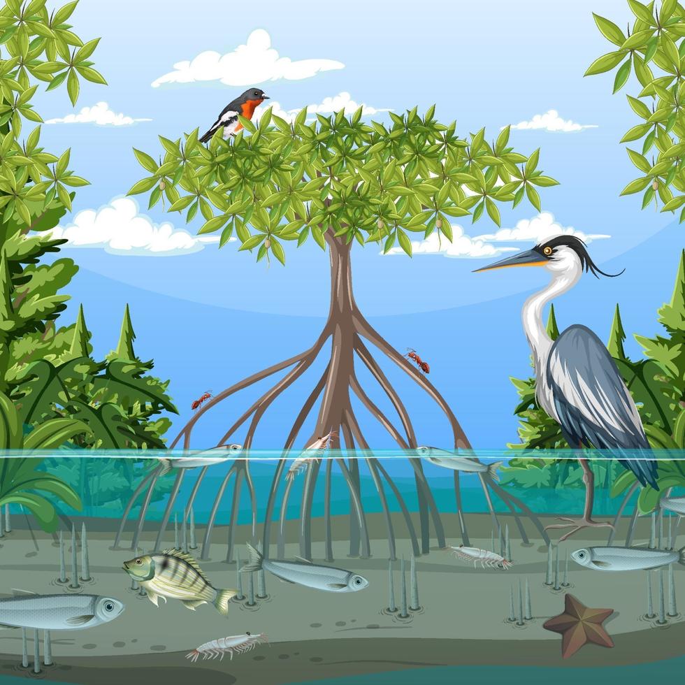 Mangrove forest scene at daytime with animals vector