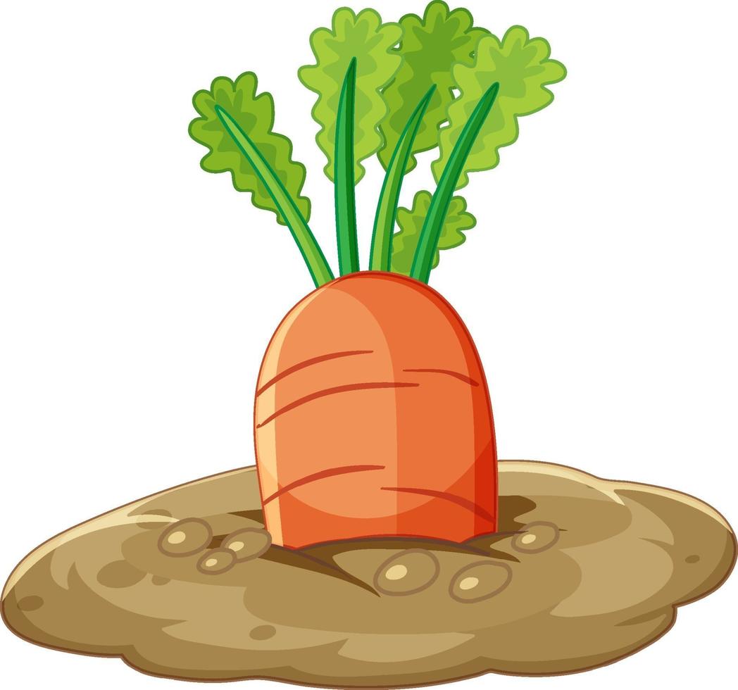 Carrot root in soil cartoon style isolated vector