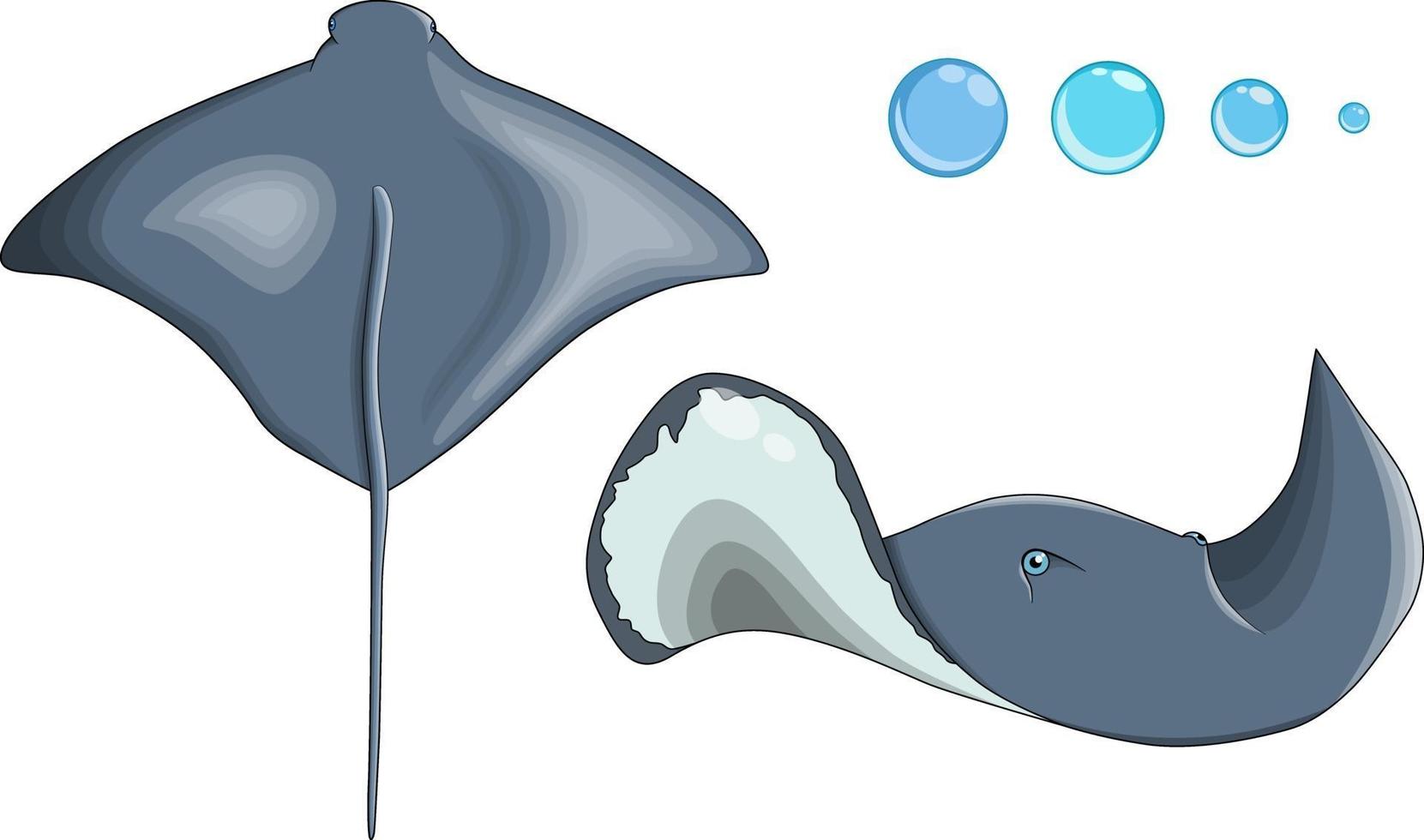 vector dos mantarrayas en estilo de dibujos animados en diferentes ángulos laterales y superiores.