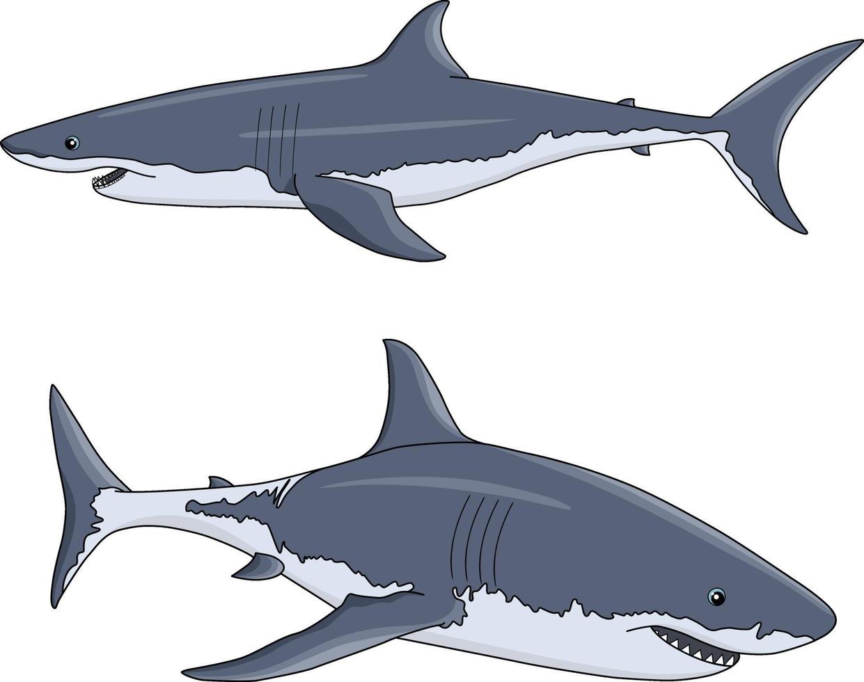 Two vector sharks in cartoon style