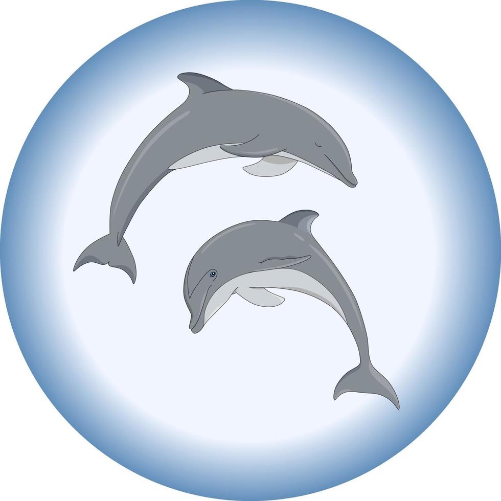 composición vectorial de dos delfines en estilo de dibujos animados vector