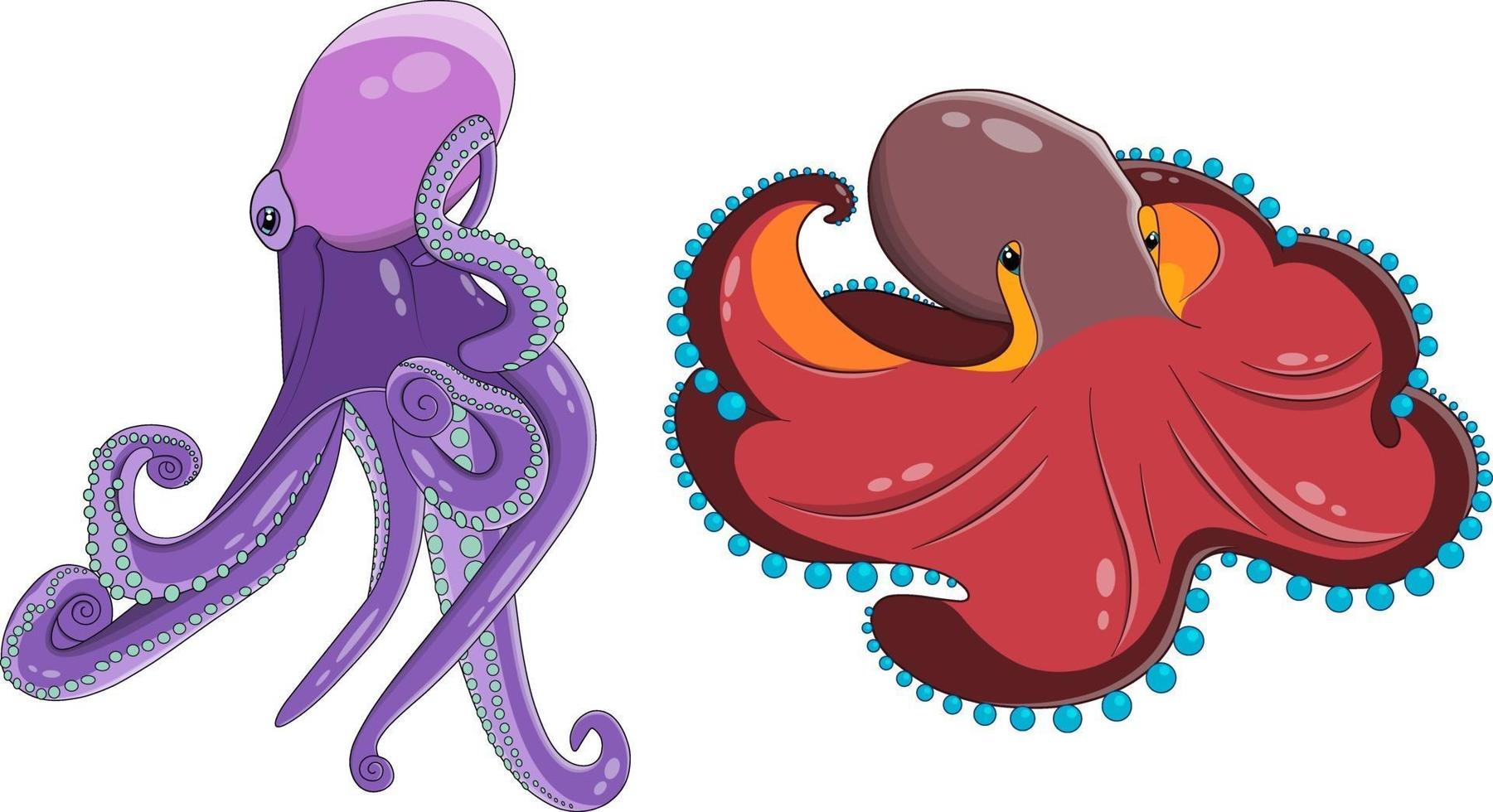 Vector two octopuses in cartoon style in purple and red colors.