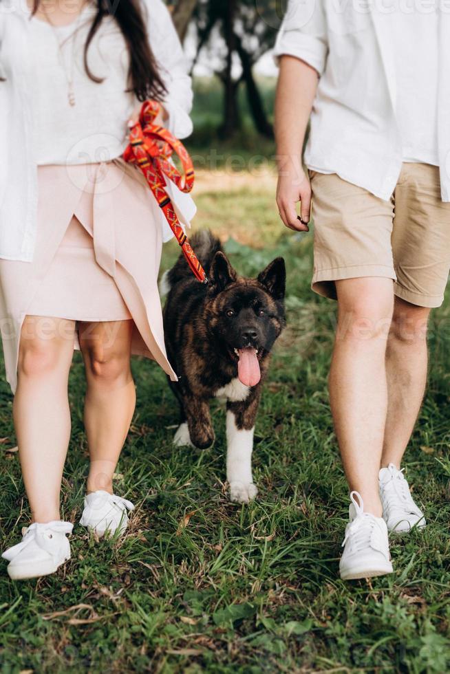 Big dog for a walk with a guy and a girl photo