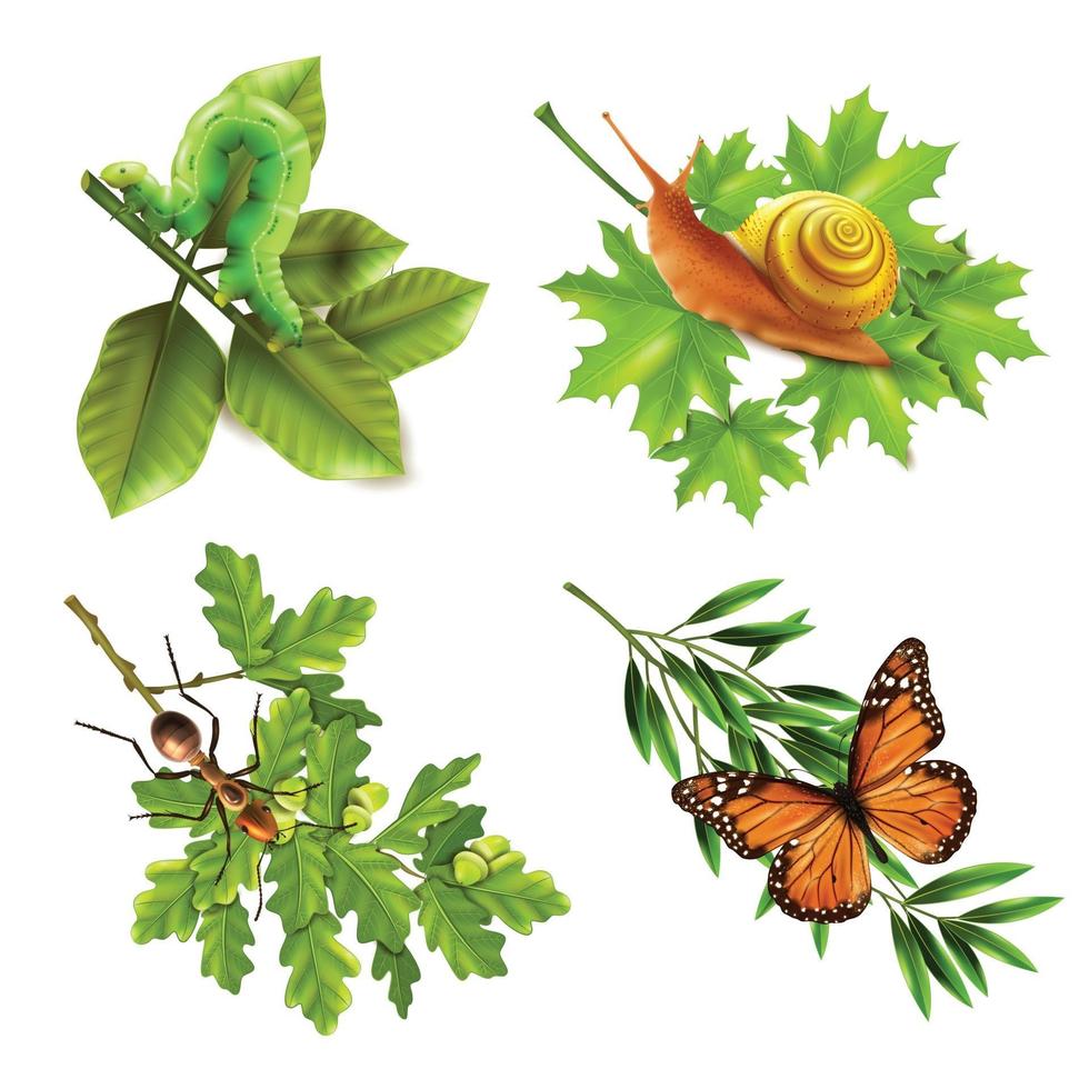 Insects Realistic Icons Vector Illustration