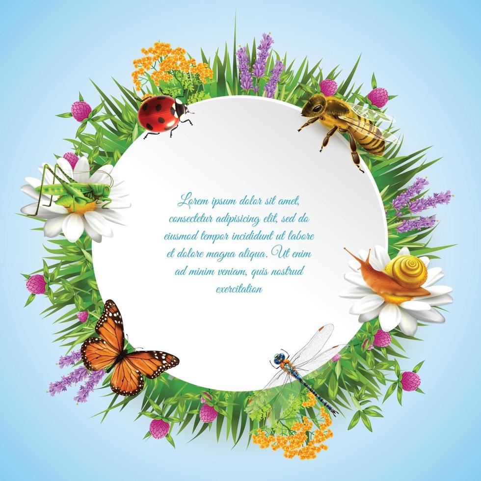 Insects Round Frame Vector Illustration