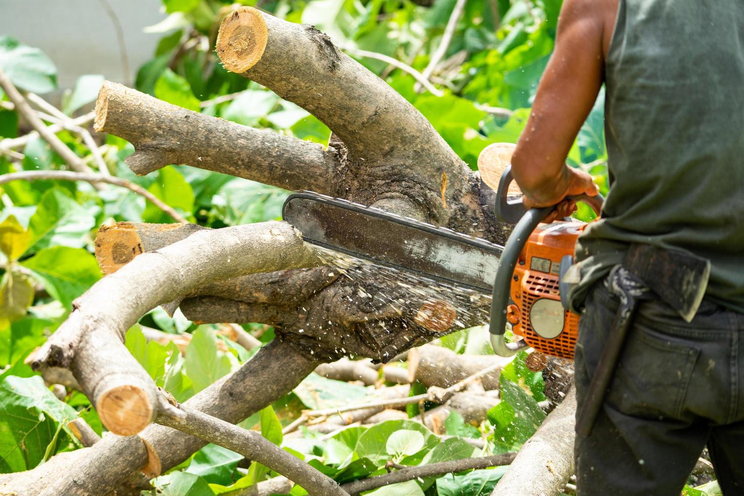 Close up of chainsaw cutting the log by chainsaw machine with sawdust flying around. photo