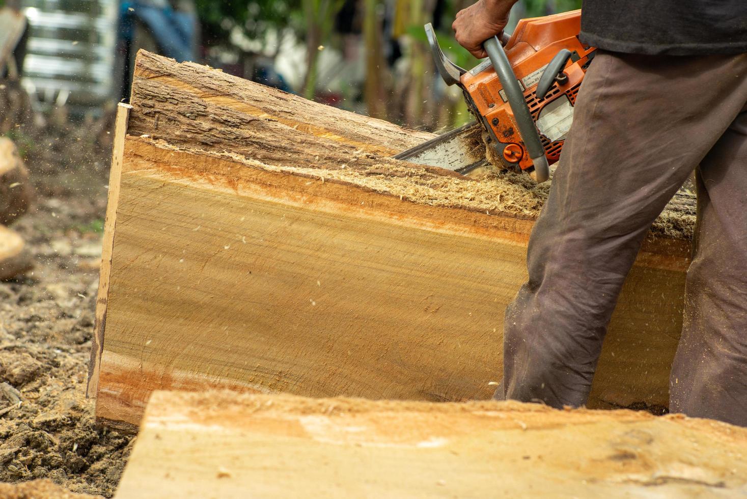 Close up of chainsaw cutting the log by chainsaw machine with sawdust flying around. photo