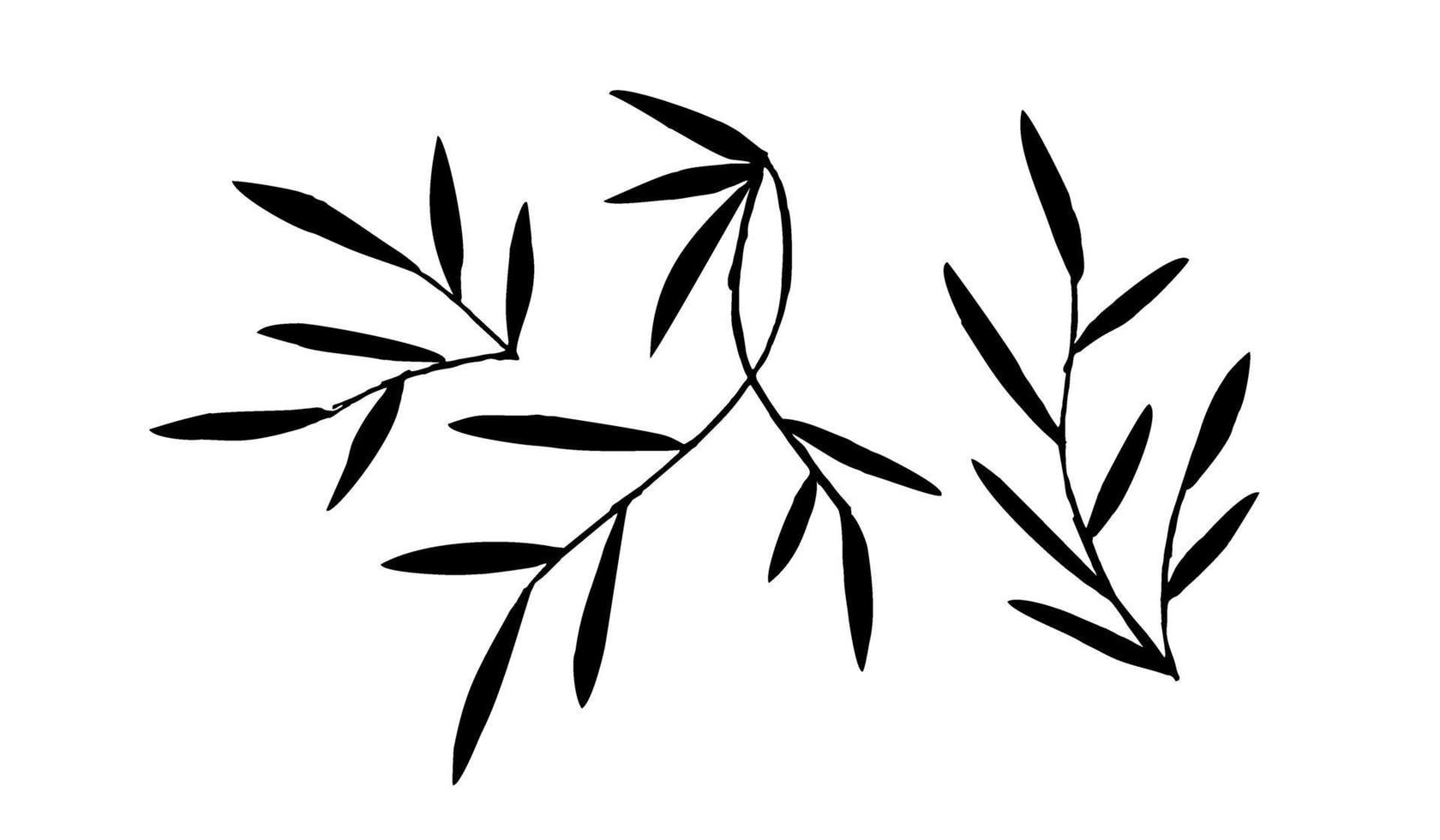 twigs with leaves silhouettes vector