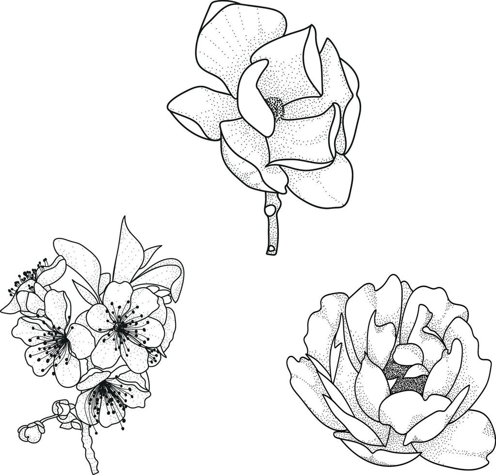 set of flowers vector eps