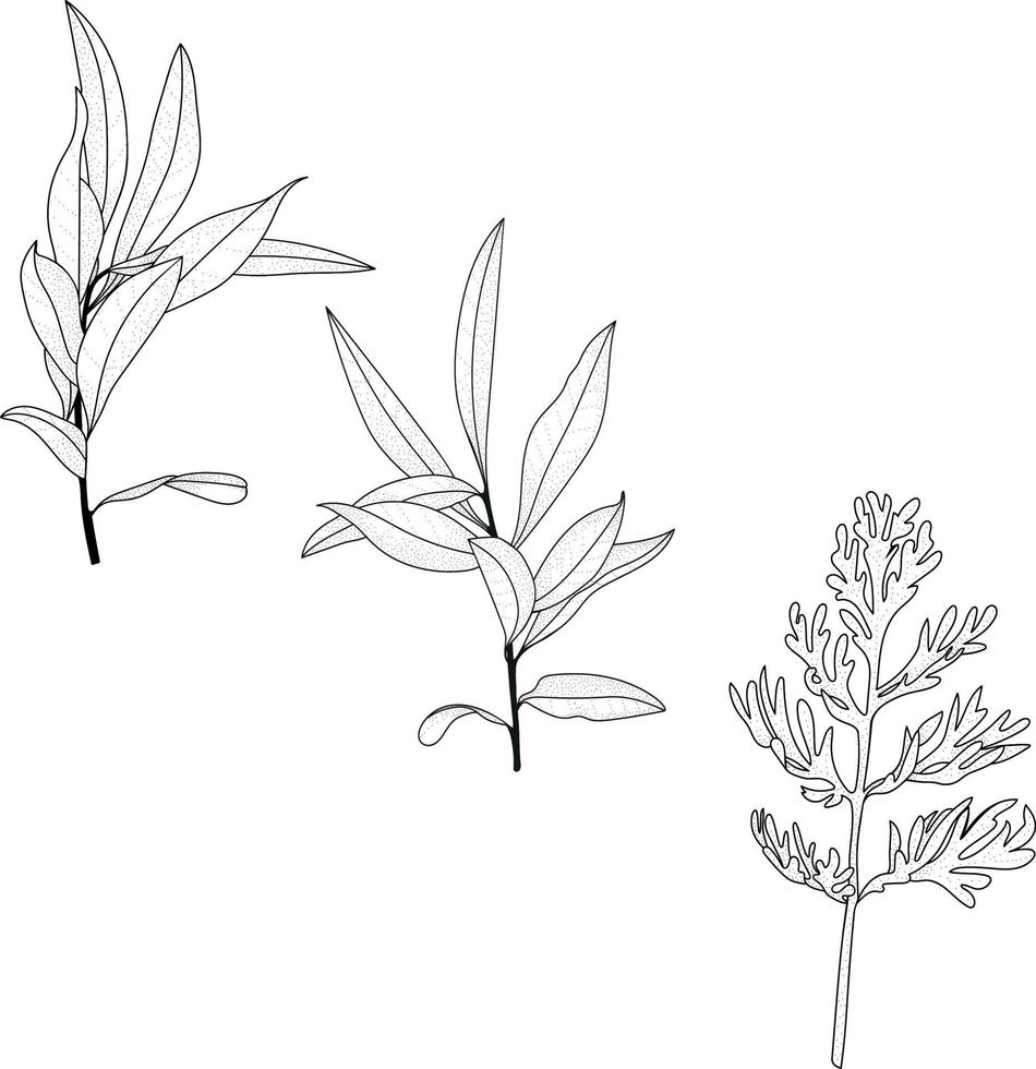 set of silhouettes of trees vector