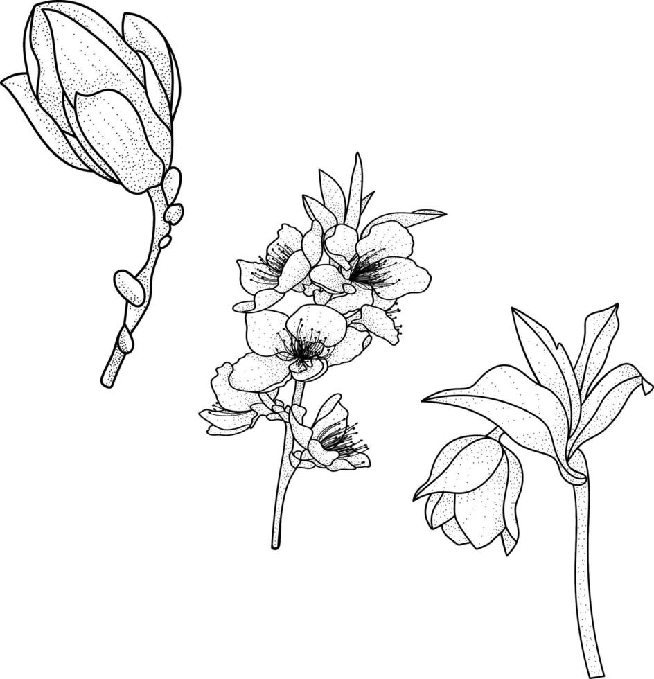 hand drawn sketch of flowers vector