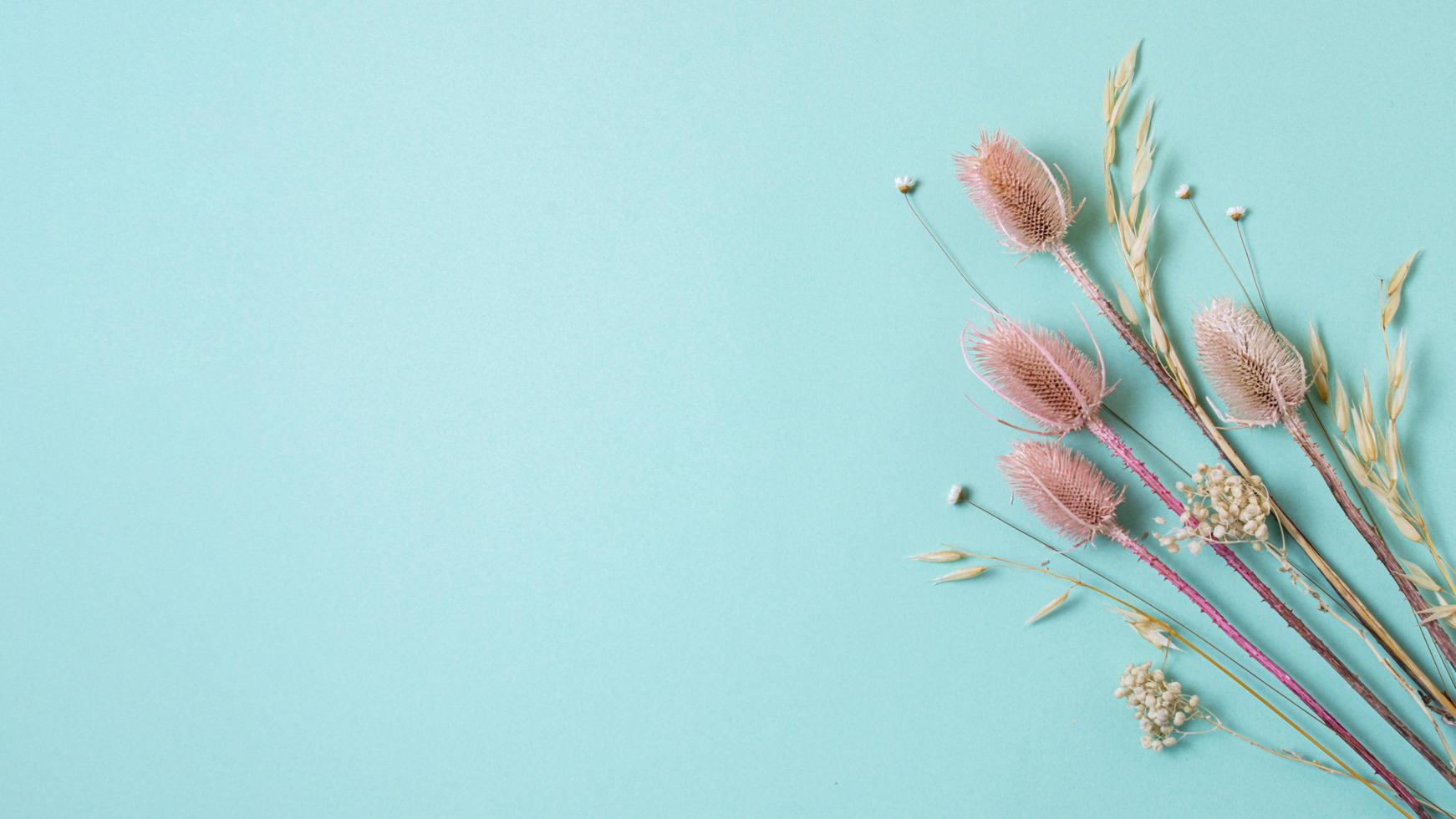 Dried plants with copy space photo