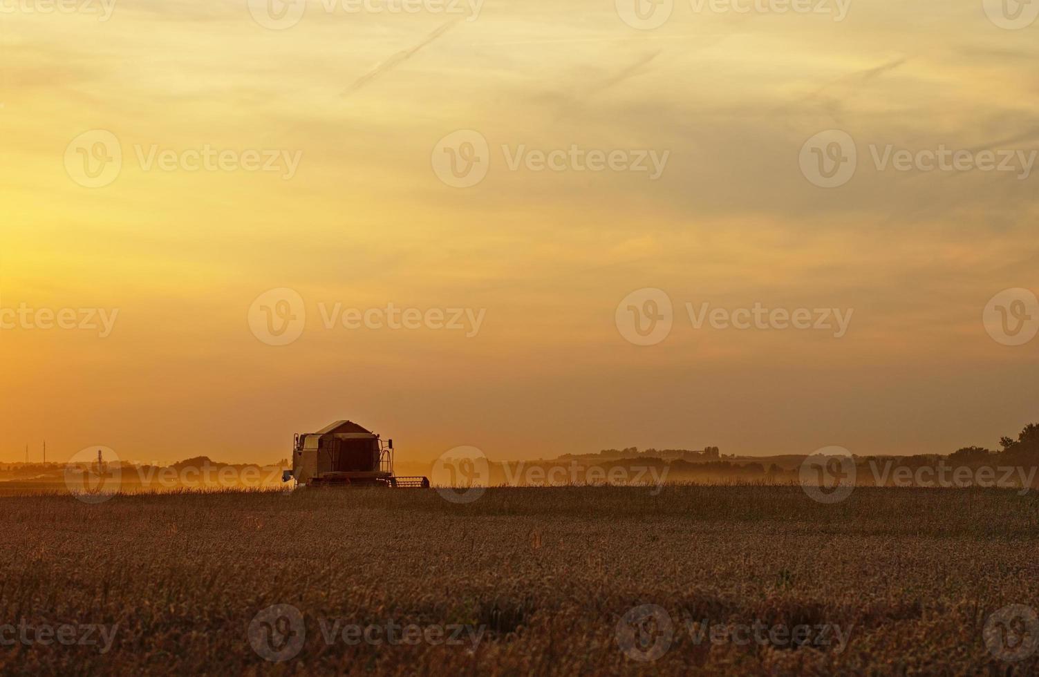 combinar la cosecha de cereales al atardecer foto