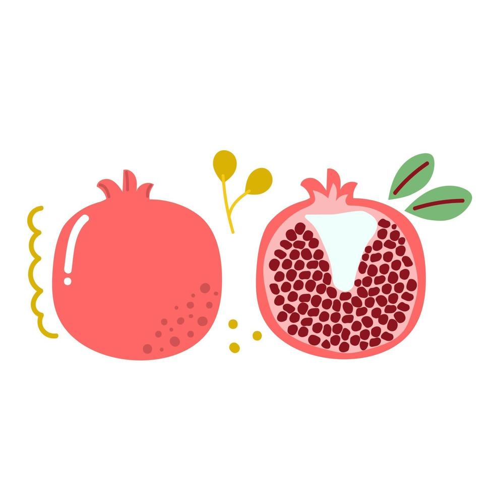 Hand drawn garnet pomegranate Love fruit concept Flat illustration vector