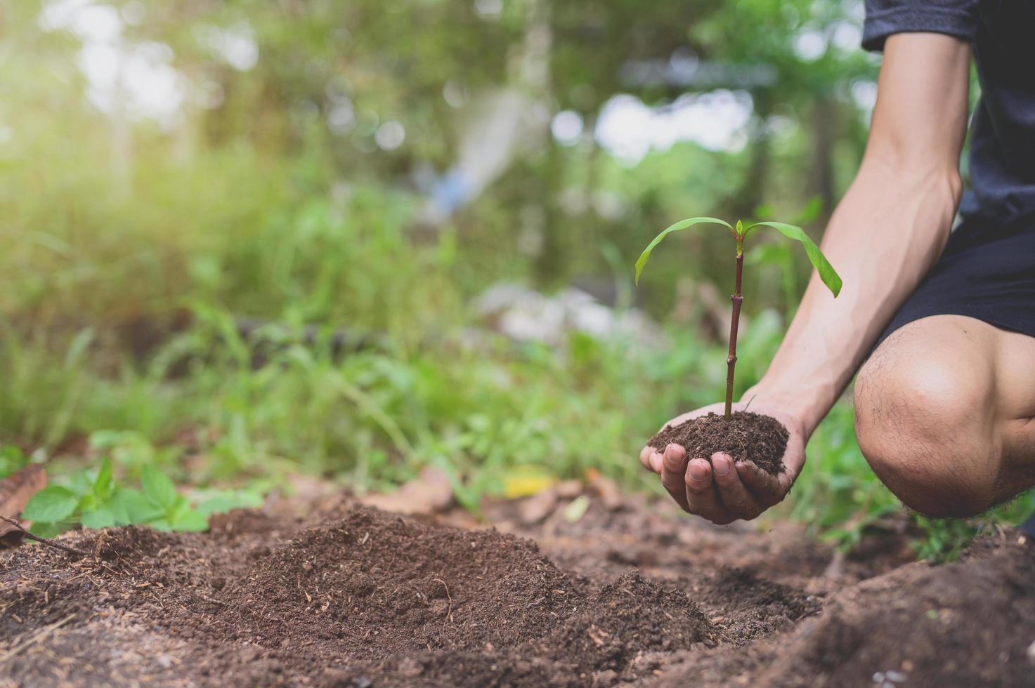 día mundial del medio ambiente, plantar árboles y amar el medio ambiente, amar la naturaleza. foto