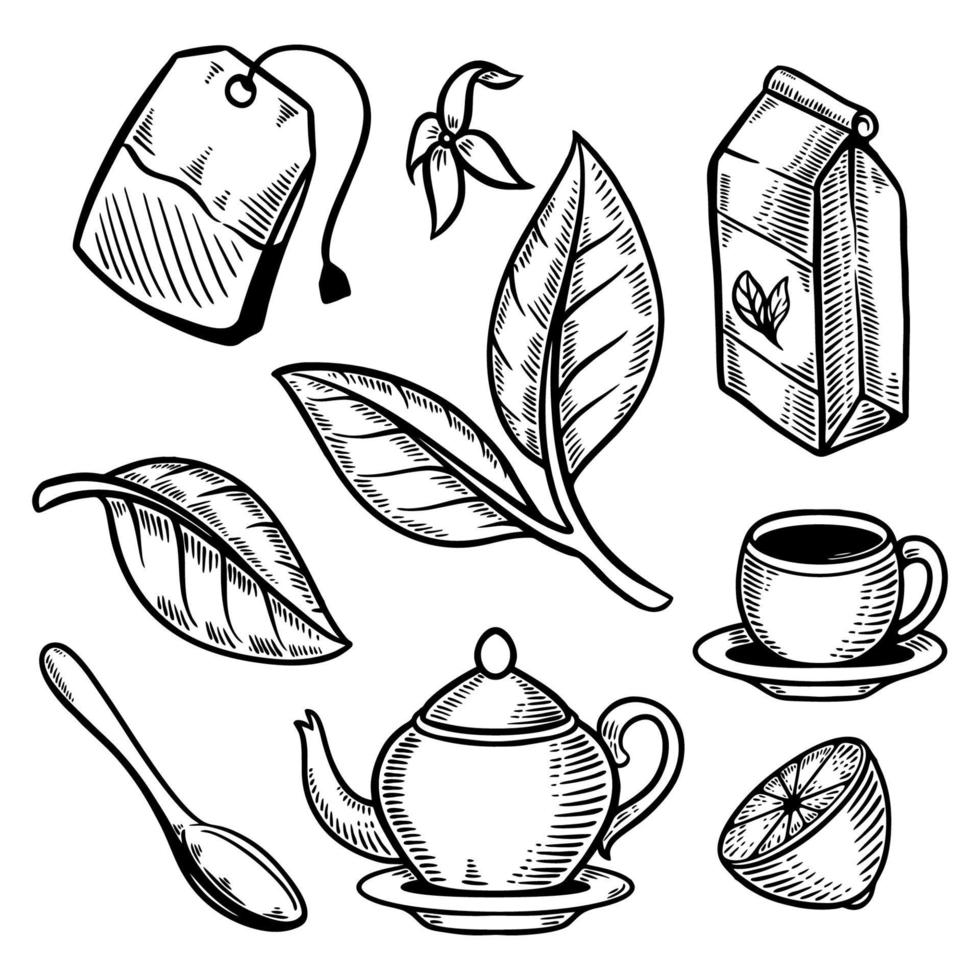 taza de té conjunto de hojas doodle retro ilustración vector