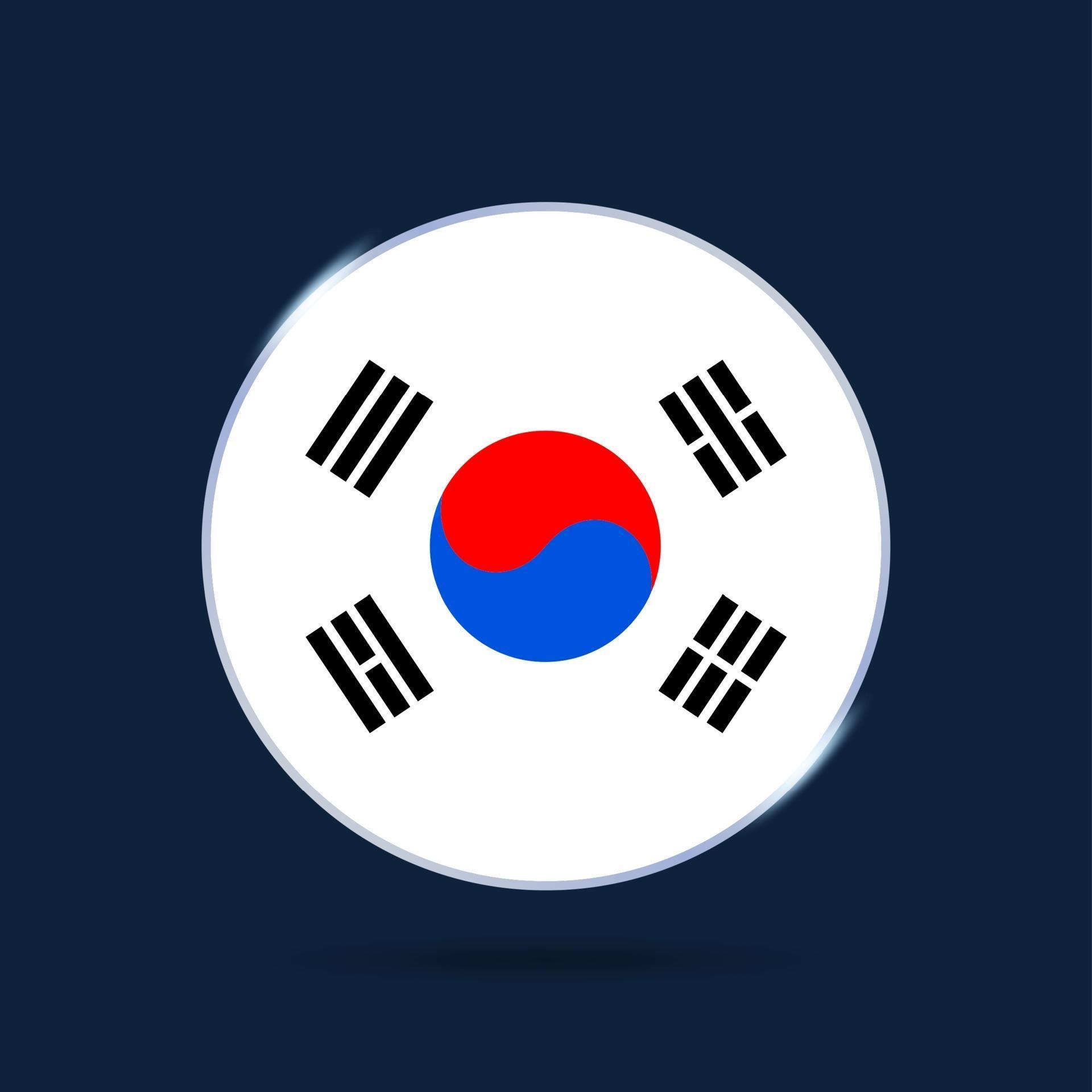 south korea national flag Circle button Icon. Simple flag, official