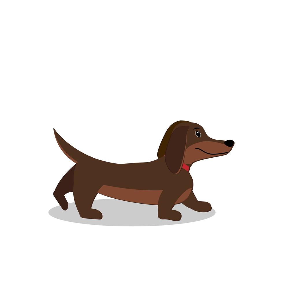 Dog isolated on a white background vector