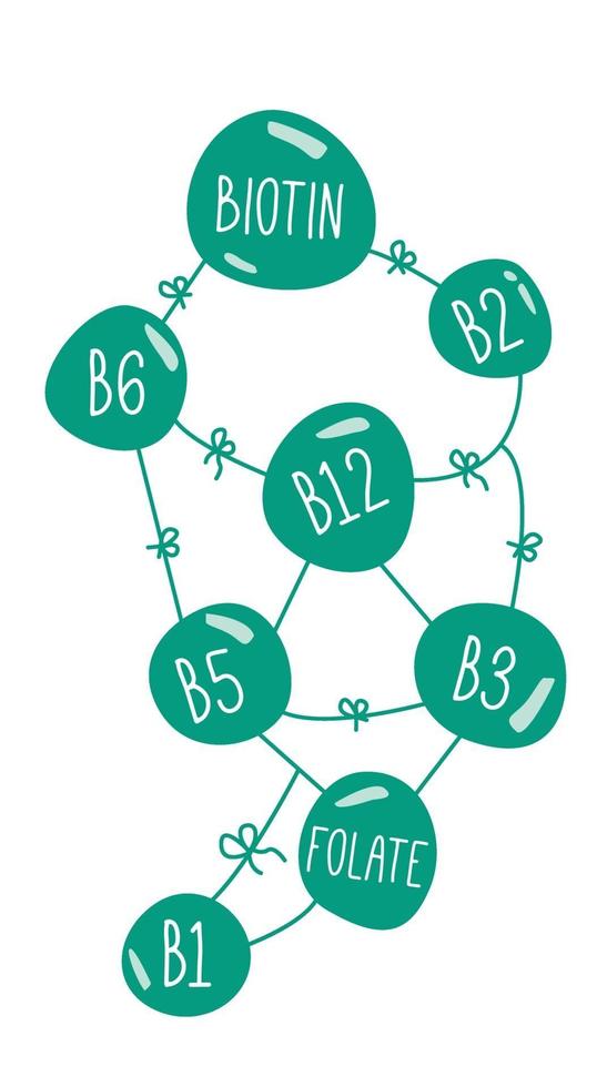 Vitamins B complex doodle concept. Team working of Vitamins B group in flat design. nutritional supplements, biotin, folate. Cartoon. vector