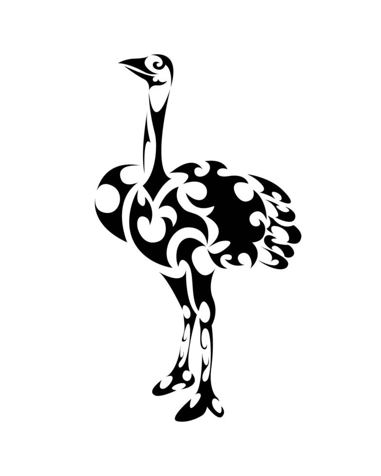 Line art vector of ostrich is standing