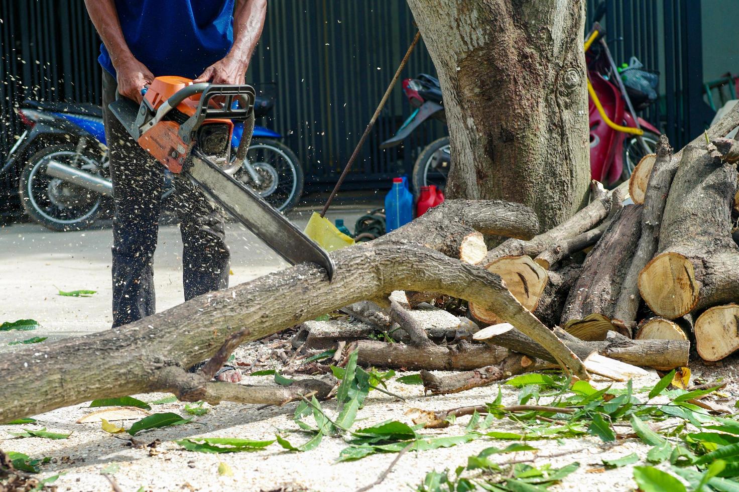 Hands of worker cutting the log by chainsaw machine with sawdust splashing around. Motion blurred of sawing chainsaw photo